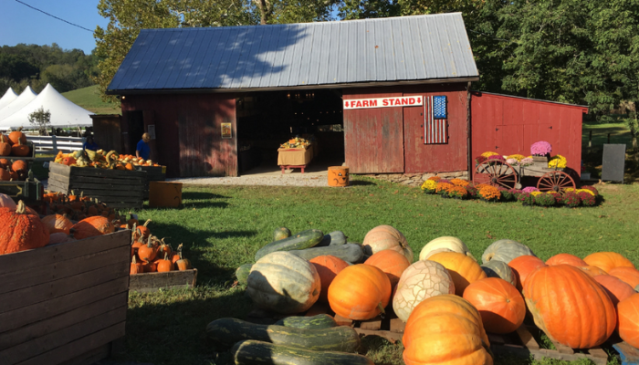 Neltners Farm