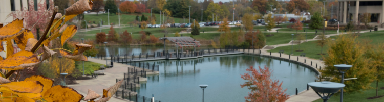 Image of campus in fall