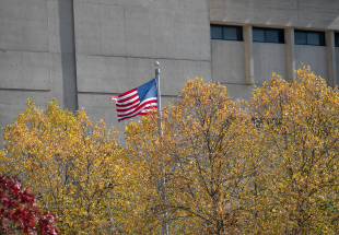 Image of the American flag