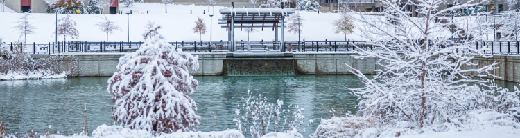 Snow on campus