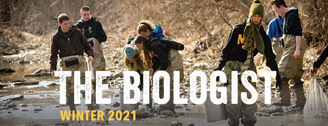 A group of students collects samples from a creek. "The Biologist: Winter 2021"